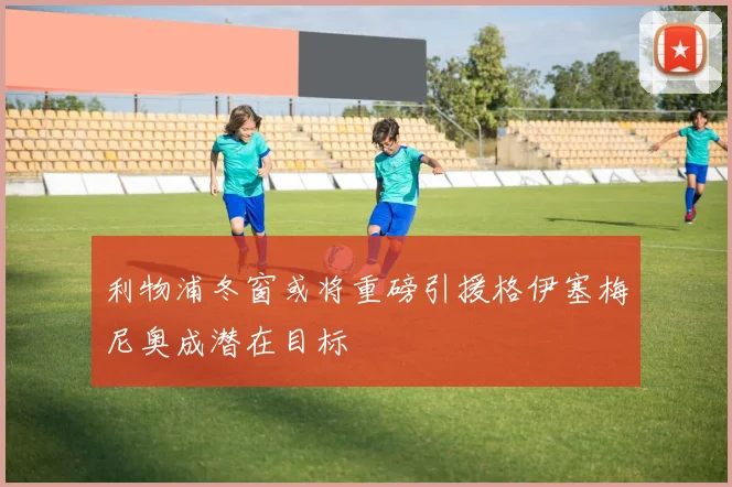 利物浦冬窗或将重磅引援格伊塞梅尼奥成潜在目标
