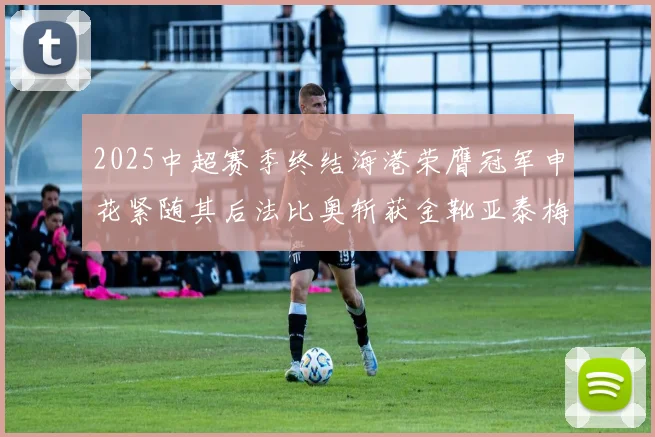2025中超赛季终结海港荣膺冠军申花紧随其后法比奥斩获金靴亚泰梅州遗憾降级