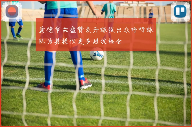 爱德华兹盛赞麦丹球技出众呼吁球队为其提供更多进攻机会